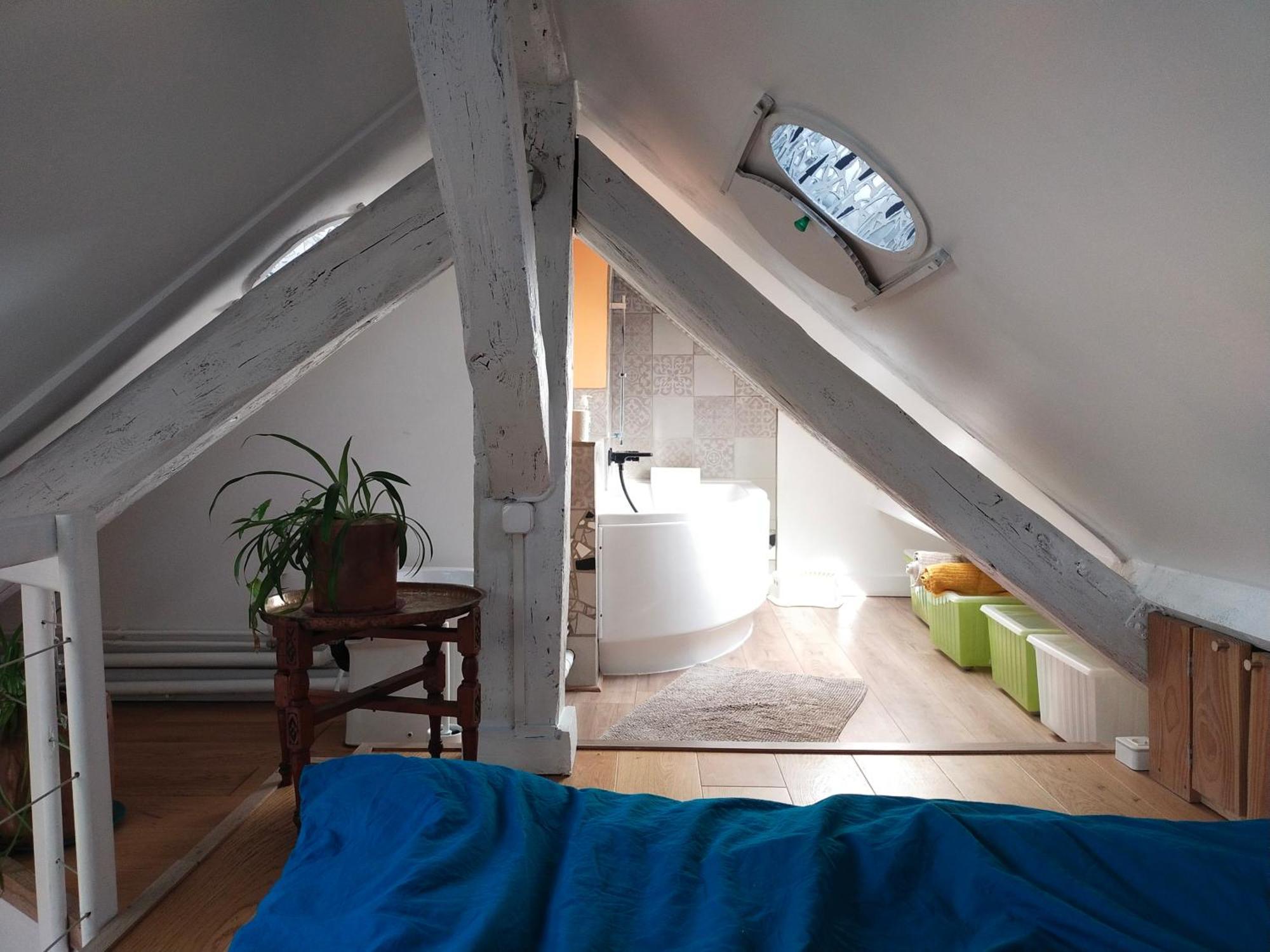 Studio Sous Les Toits Et Mezzanine - فَنسين المظهر الخارجي الصورة