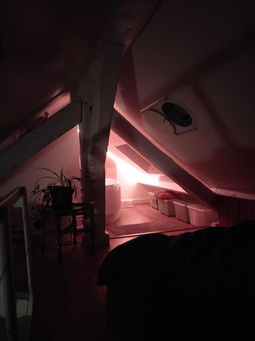 Studio Sous Les Toits Et Mezzanine - فَنسين المظهر الخارجي الصورة